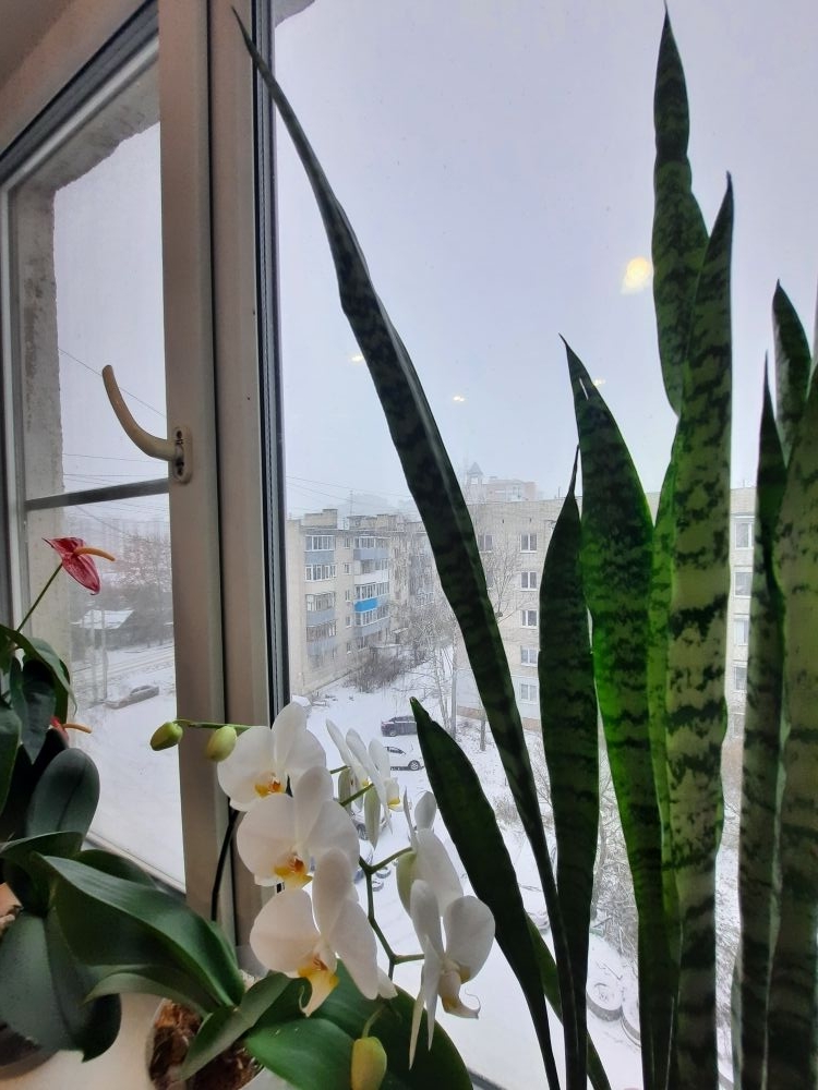 Продажа 3-комнатной квартиры, Иваново, Пролетарская ул,  20