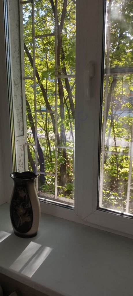 Аренда комнаты, 14м <sup>2</sup>, Нижний Новгород, Куйбышева ул,  24