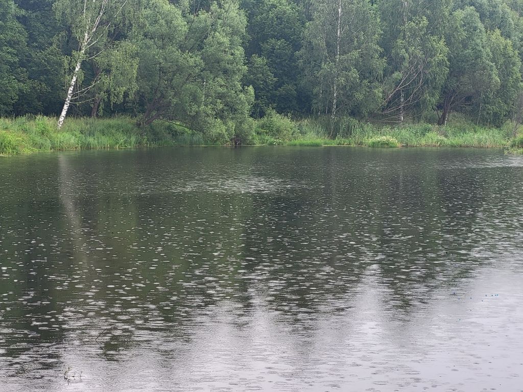 Продажа дома, 31м <sup>2</sup>, 12 сот., Петровский, Крупская Улица,  46