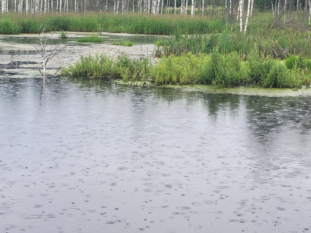 Продажа дома, 31м <sup>2</sup>, 12 сот., Петровский, Крупская Улица,  46