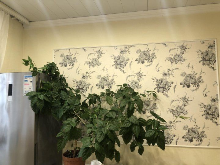 Аренда 1-комнатной квартиры, Ростов-на-Дону, Комарова б-р,  1