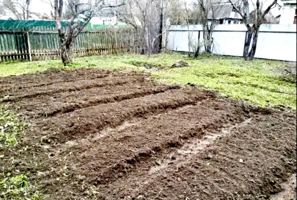 Продажа дачи, 50м <sup>2</sup>, 6 сот., Красный Бор