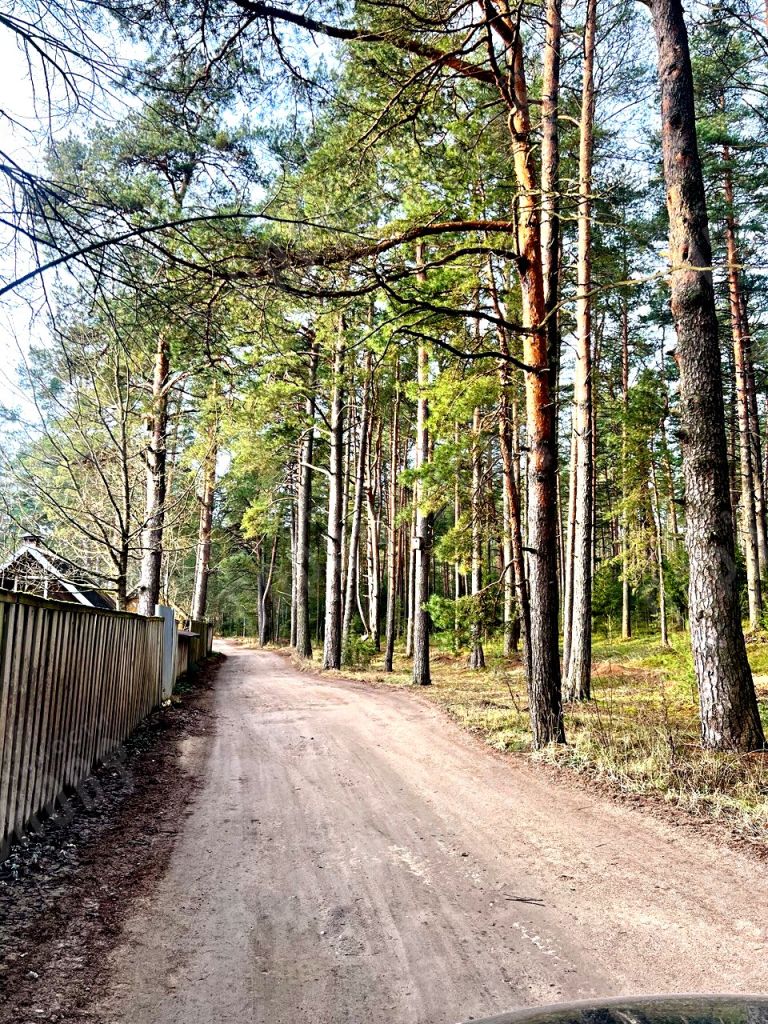 Продажа дачи, 50м <sup>2</sup>, 6 сот., Красный Бор