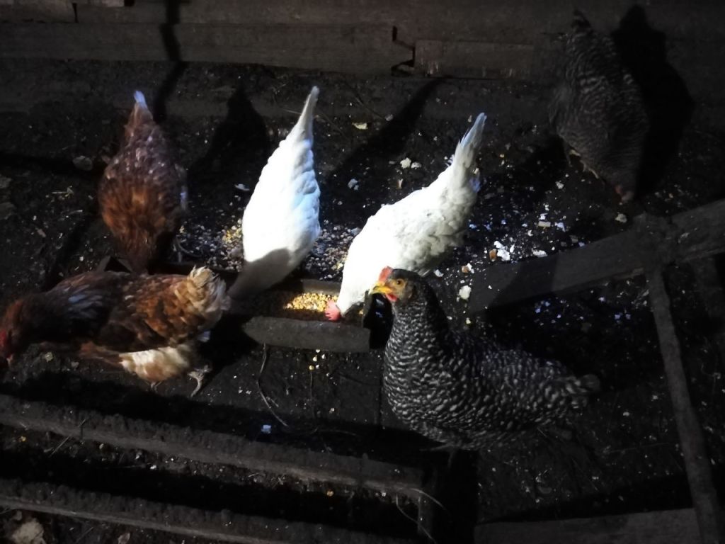 Продажа дома, 35м <sup>2</sup>, 13 сот., Нижегородская, Пионерская,  18