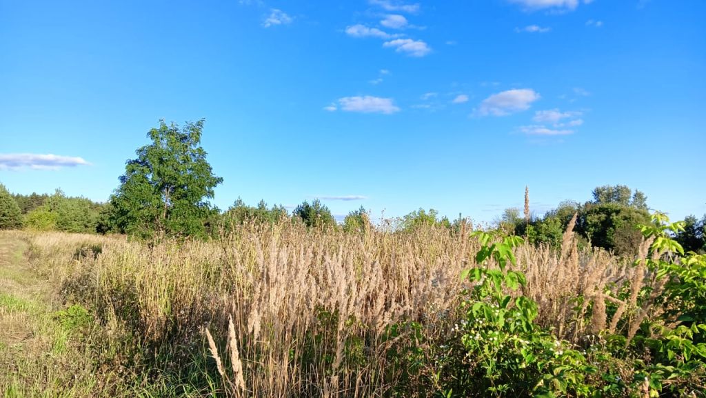 Продажа дома, 29м <sup>2</sup>, 30 сот., Октябрьская Готня, Октябрьская