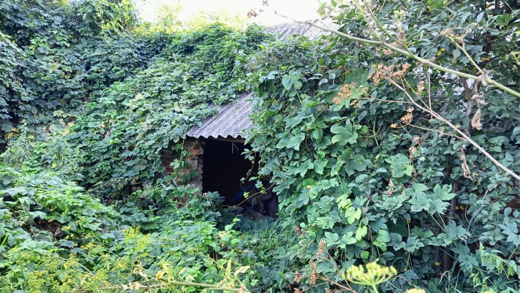 Продажа дома, 29м <sup>2</sup>, 30 сот., Октябрьская Готня, Октябрьская