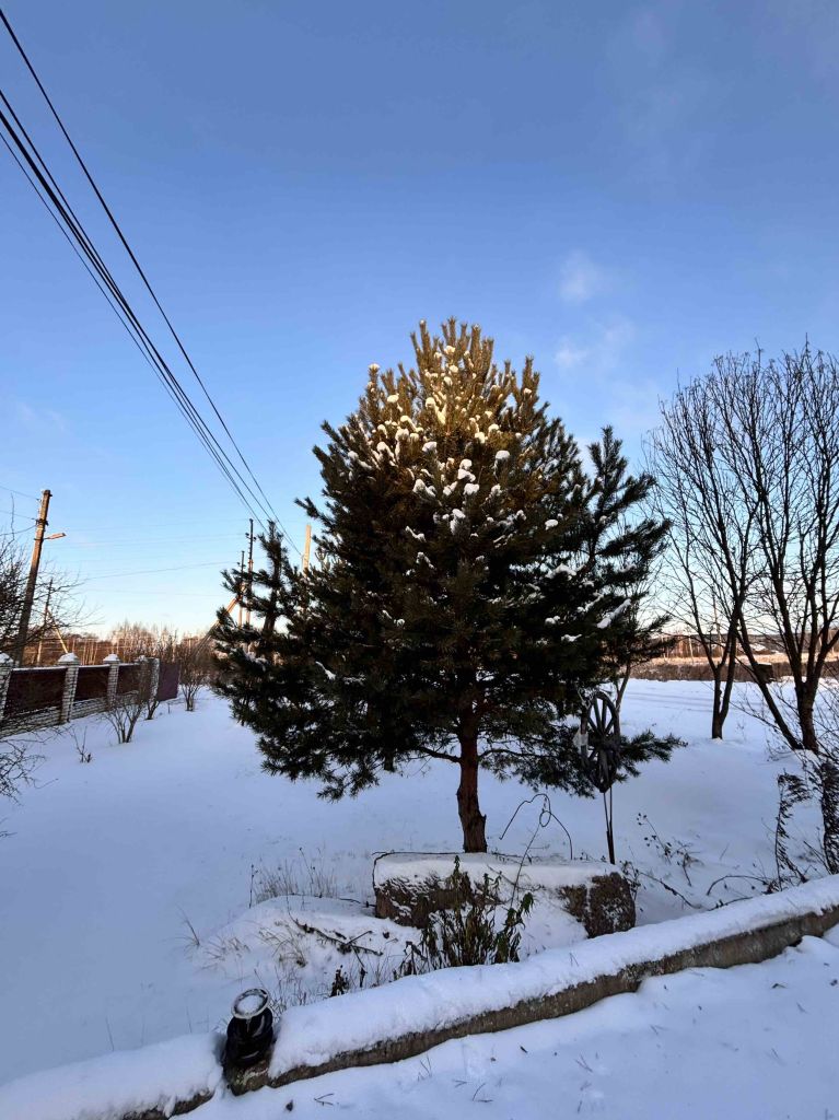 Продажа дома, 158м <sup>2</sup>, 30 сот., Бебяево, союзная