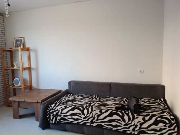 Продажа 1-комнатной квартиры, Нижний Новгород, Дружаева ул,  15