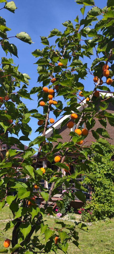 Продажа дома, 130м <sup>2</sup>, 6 сот., Черемисское, Янтарная,  25