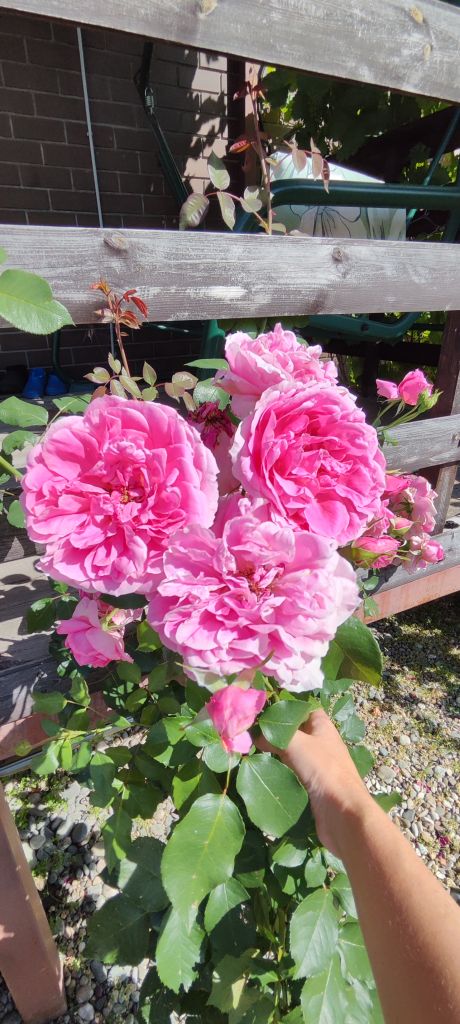 Продажа дома, 130м <sup>2</sup>, 6 сот., Черемисское, Янтарная,  25