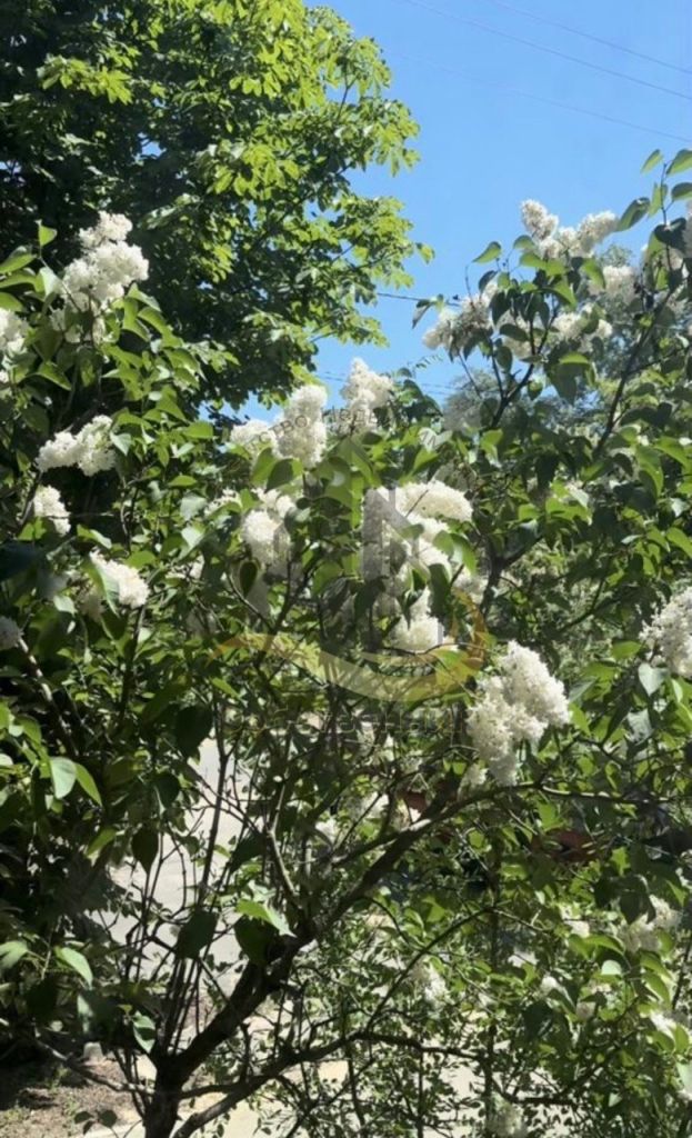 Продажа дома, 155м <sup>2</sup>, 9 сот., Россошь, Малиновского ул