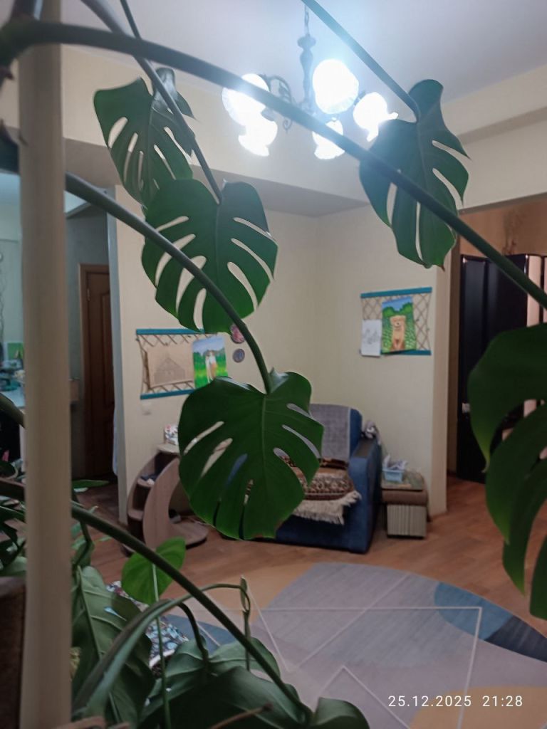 Продажа 2-комнатной квартиры, Дзержинск, Маяковского пл,  10/1