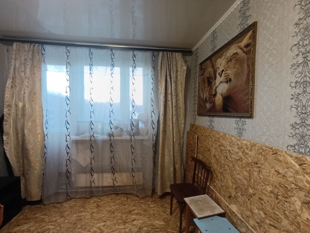 Продажа 1-комнатной квартиры, Нижний Новгород, Белинского ул,  91