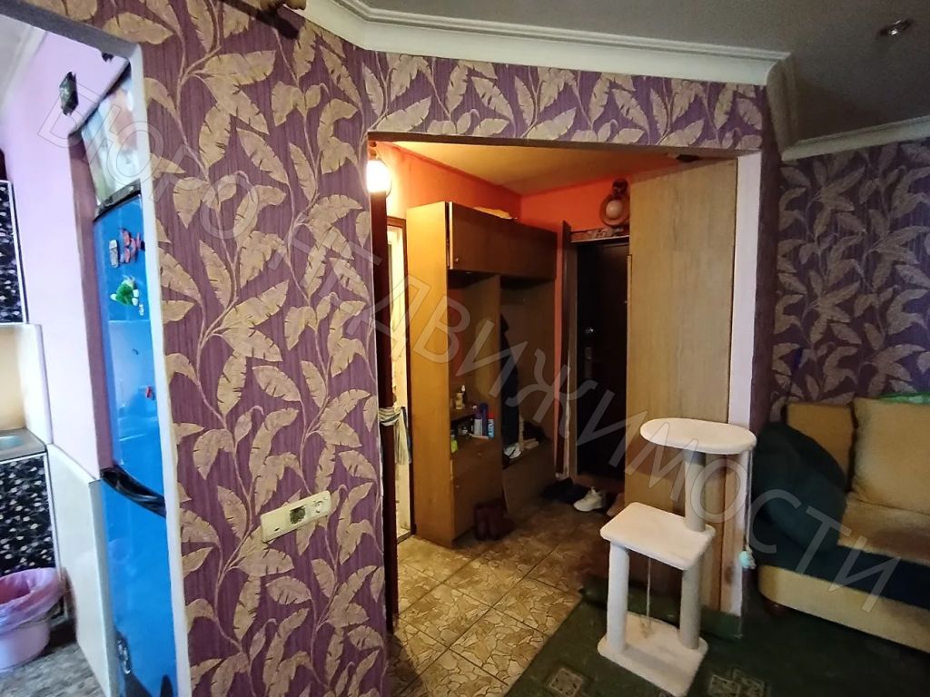 Квартира