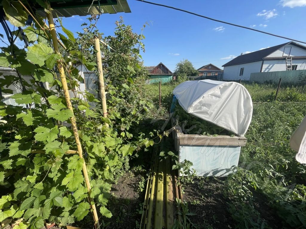 Квартира