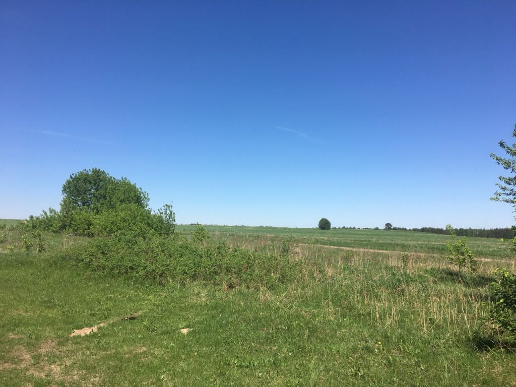 Продажа коммерческой недвижимости, 420м <sup>2</sup>, Золино, Комсомольская,  1