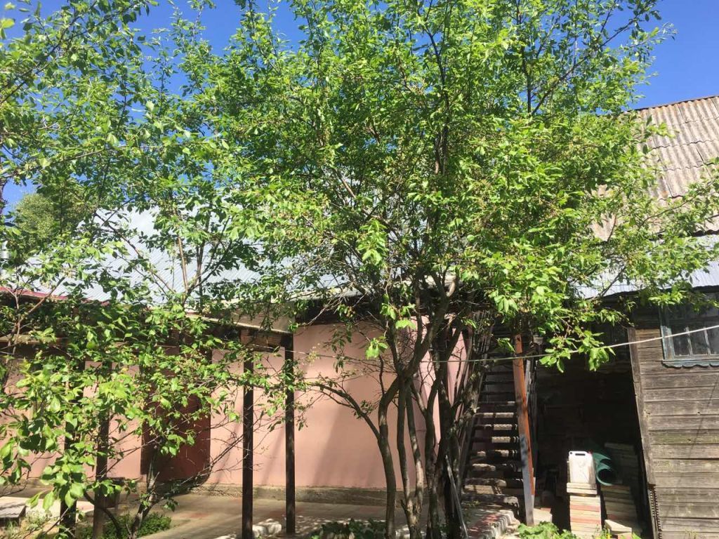 Продажа коммерческой недвижимости, 420м <sup>2</sup>, Золино, Комсомольская,  1