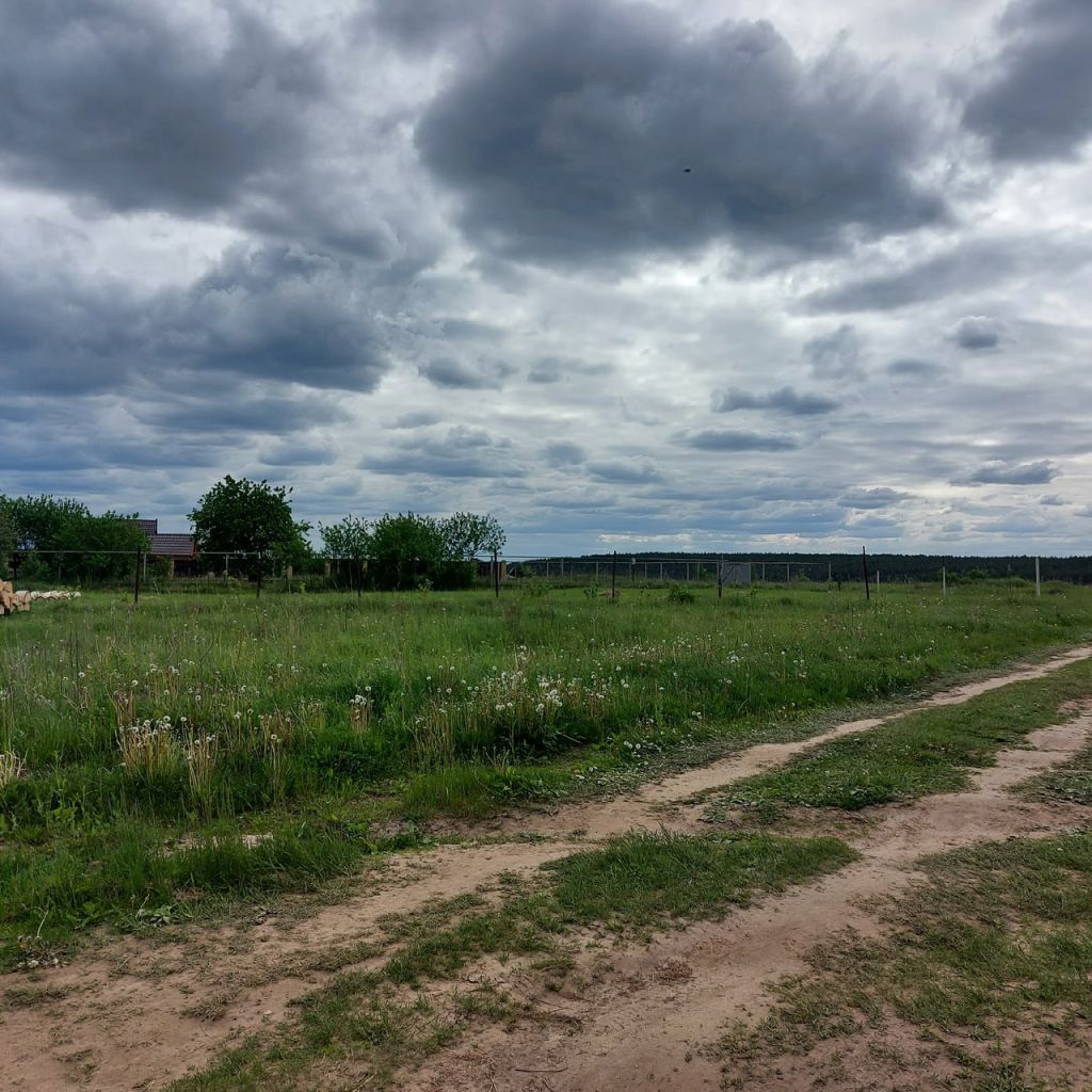 Купить Сено В Арзамасе И Арзамасском Районе