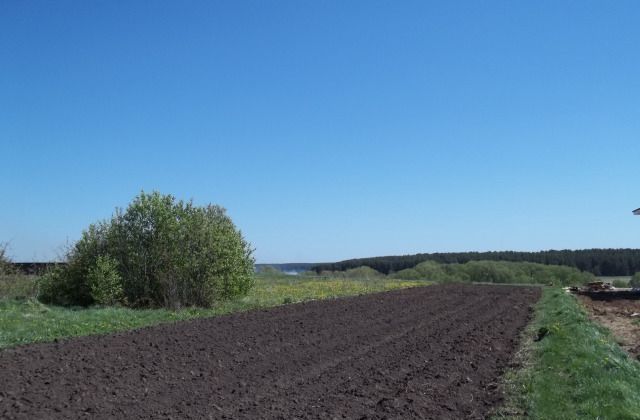 Городище земельные участки. Спасское Городище Суздальского района. Владимирская область, Суздальский р-н, с. Овчухи,. Д Овчух Мценского района. Овчухи Владимирская область фотографии.