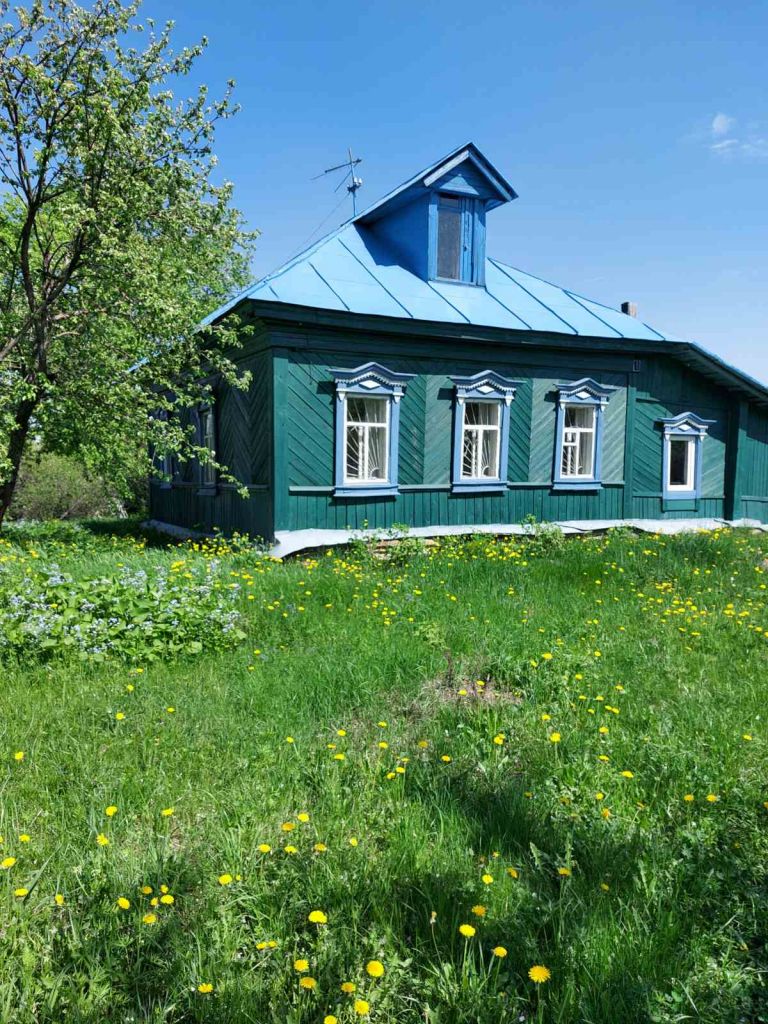 Доскино нижегородская обл. Новое Доскино Нижегородская область. Посёлок Доскино Нижний Новгород. Новое Доскино Нижний Новгород. Коттеджный поселок Доскино Нижний Новгород.